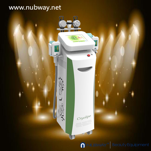 Quality Newest amazing result cavitation cryolipolysis slimming rf to lose weight wholesale