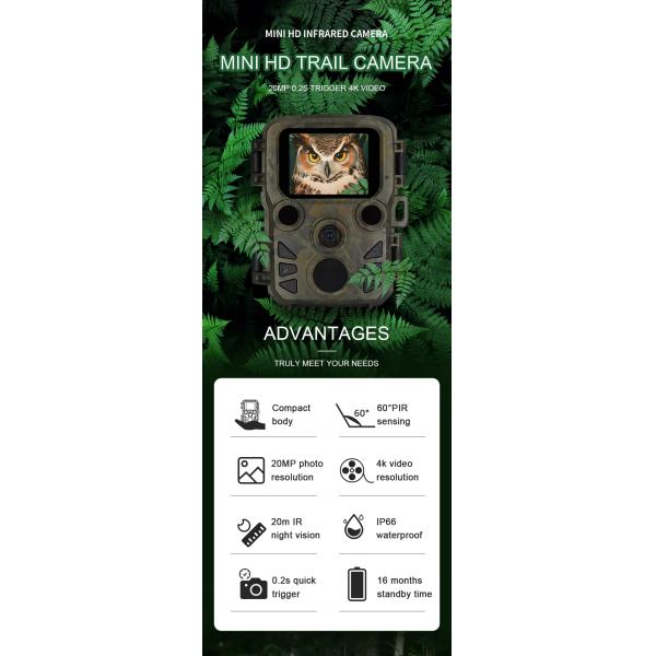 4K HD Outdoor Game Trail Infrared Camera with Night Vision Solar Powered for Observe Outdoor Wild Animals