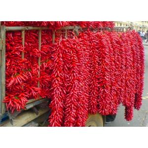 20000SHU Dried Chinese Chilis Vacuume Packing Spicy Chaotian / Tianjin Chilli