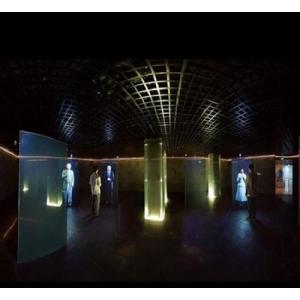 3D Transparent Holographic Projection Film 45° Angle High Light Transmittance