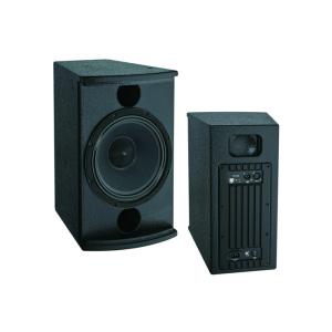 10 Inch Portable Active Pa Speaker Powered Two Way Loudspeaker Box