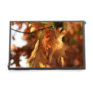 1920x1200 HD TFT LCD Display 10.1 Inch IPS Panel With LVDS Interface