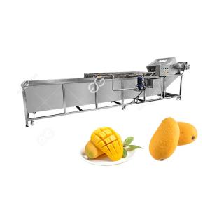 Sterilization And Disinfection Mango Washing Machine Fruit Washing Machine