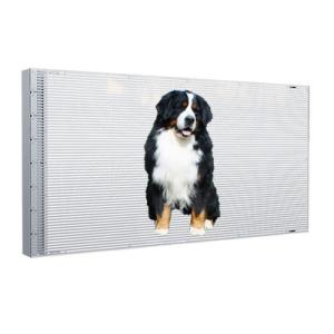 P6 Adhesive LED Film Display Rear Service 3.5KG/SQM For Window Advertising