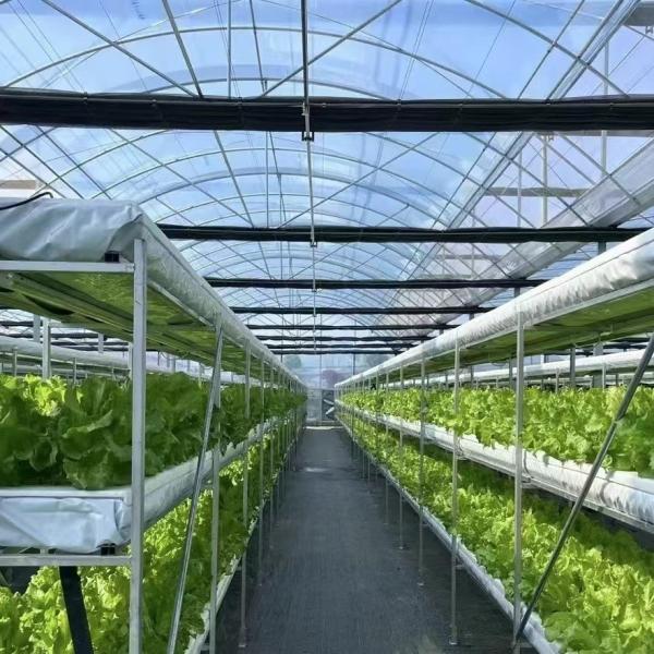 Quality JX-A0022 Commercial Greenhouse with Multi-Span Plastic Tunnel Film Design Innovation wholesale