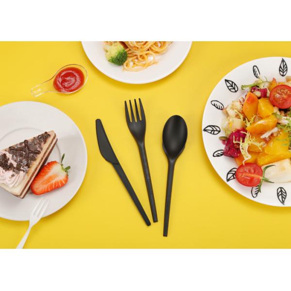 Biodegradable CPLA Cookware Cutlery With Individually Packaging