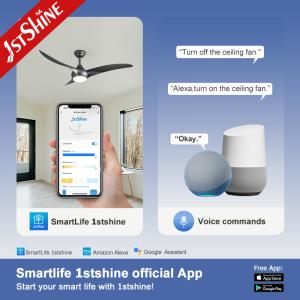 Sliver Plastic Blades WIFI Control LED Ceiling Fan with 2- and 4000k Color