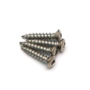 DIN7983 A2 SS 304 Stainless Steel Self Tapping Screws SQ Drive Raised Head Inox