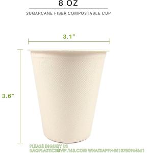 16 oz Biodegradable Disposable Drinking Coffee Cups, Eco Friendly Premium Party
