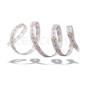 New 2110 SMD 240LED Flexible LED Strips Manufacturer Low power Single color