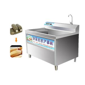 Fully Automatic Restaurant Brush Type Date Portable Compact Washing Machine
