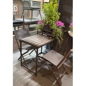Garden Folding Plastic Polywood Table Set With 3 Flower Shelf