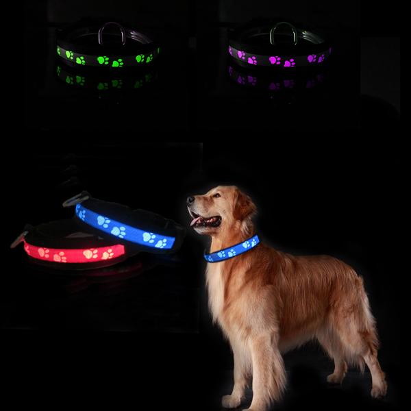 Custom Nylon Led Light Up Dog Collar / Flashing Dog Collar Safety Dog Led Light For Collar