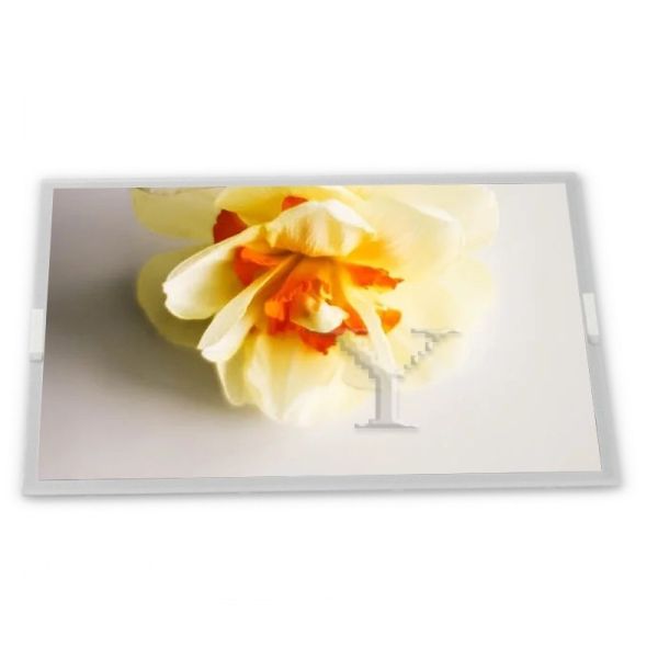 Quality Industrial Display Screen 6.5-Inch with 640*480 Resolution OLED Modules wholesale