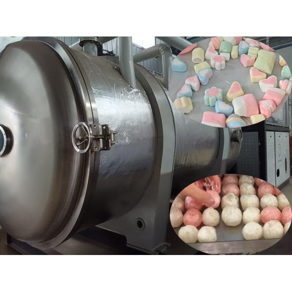 Quality 500kg Industrial Food Freeze Dryer Large-Scale Lyophilizer for Food Processing wholesale