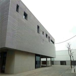 Expanded Metal Mesh Ceiling Panel Welded Frame 3mm Thick 1000x2000mm