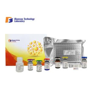 China Mouse GAL8 Enzyme Linked Immunosorbent Assay Kit Customized Sandwich Test Method on sale