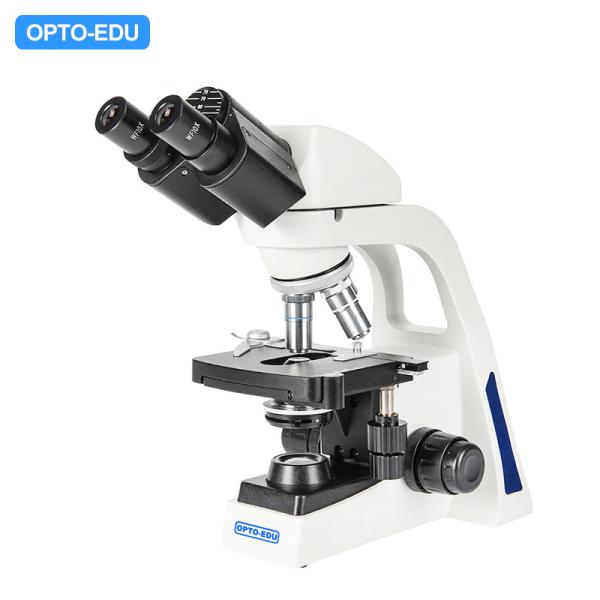 Quality OPTO-EDU A11.3621 1000x Student Biological Microscope wholesale