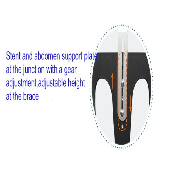 Adjustable Waist Back Support Belt Thoracolumbar Sacral Orthosis Support Back Brace