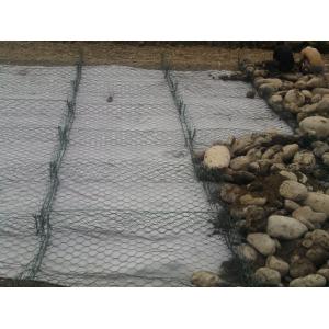 3.05mm 2.7mm Low Carbon Wire Galvanized Gabion Mesh