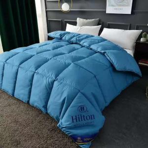 Hilton Duvet Double Spring Autumn Winter Quilt Core and Hot Style for Micro