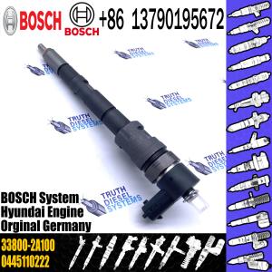 Fuel Injector Assembly 0 445 110 229/223 33800-2A100 0445110229 0445110223 Auto