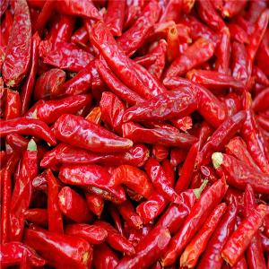 Dried Birds Eye Chilli Rich In Essential Vitamins And Minerals