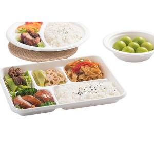 Twin Screw Extruder Container Bowl Plate Tray Take Away Food Box Making Machine