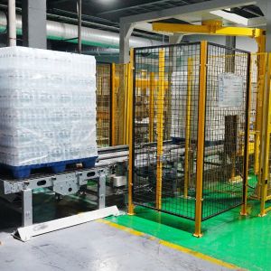 Low-Profile Dual-Lane Gantry Palletizer Carton Palletizer for Juice Beverage