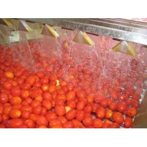Fresh Tomato Ketchup Jam Paste Sauce Processing Line