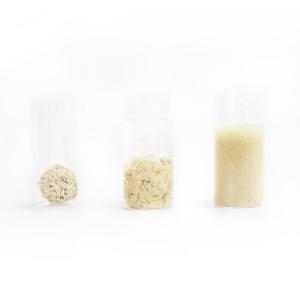 Wholesale100 Dust Free No Harmful Additives Cat Litter Non-Unscented Biodegradab