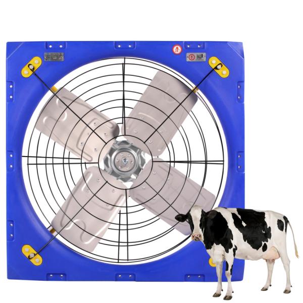 Quality High Strength Double Layer PE Livestock Circulation Fan With 27000m3/h Max Airflow For Optimal Ventilation wholesale