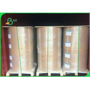 FDA Food Grade Paper Roll 160gsm - 350gsm 70 * 100cm White PLA Paper Sheet For