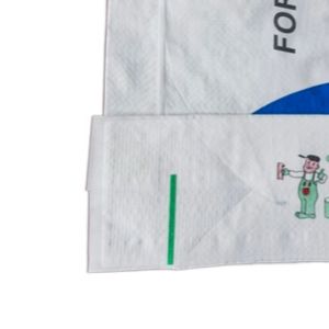 20kg-25kg Capacity PP Woven Valve Bag with BOPP Printing for Tile Adhesive