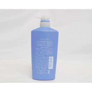 PE Shampoo Bottle-4 with pum