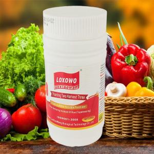 Trusted Manufacturer Nutrient Solutions Fertilizer High Quality