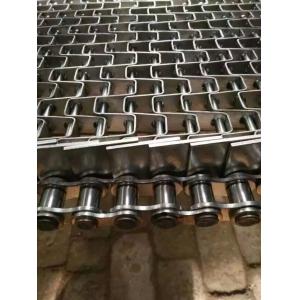 Stainless Steel Conveyor Belt/Food Conveyor Mesh Belt/Wire Mesh Belt