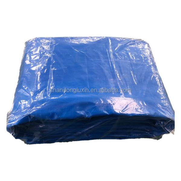 Quality Customized Color PE Tarpaulin for Tent Waterproof Heavy Duty Rainproof Moisture-proof wholesale