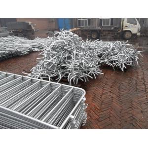 ISO 9001 Crowd Control Barrier Hot Dipped Galvanized 35mm tube wall thick 1.1mm