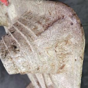 Reuse Sugar Cane Wastes Bagasse Wood Pallet Machine