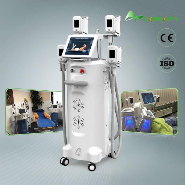 Quality Newest 4 Handles Fat Freezing Liposuction Coolsculption Cryolipolysis Machine Korea wholesale