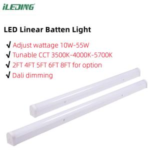 2FT 4FT 20W 46W Tunable 3CCT Led Linear Strip Batten Light for Office Lifetime H