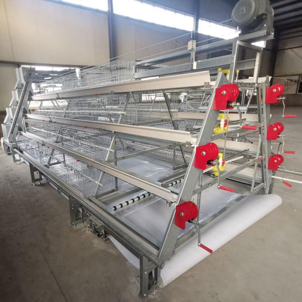 Broiler Pullet Breeder Chicken Cage Galvanized Mesh A Type Layer Egg Hens