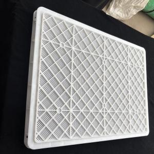 Perforated Food Grade Stackable Plastic Drying Trays For Freezing Of Fruits