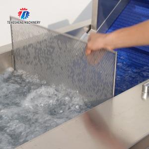 Multifunctional Vegetable And Fruit Processing Line Hair Roller Bubble Cleaning