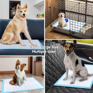 Disposable Pet Dog and Puppy Pee Pads for Potty Training