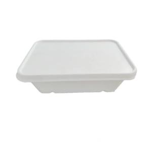 Disposable Takeaway Sugarcane Bagasse Box Disposable Food Containers With Lids