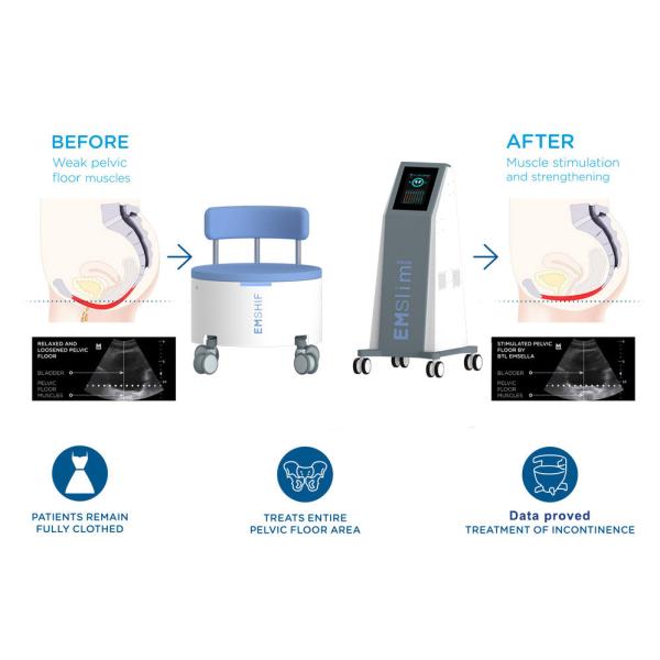 Rectus Abdominis 13 Tesla EMS Muscle Stimulator Machine PRIVATE THERAPY CHAI