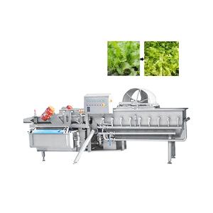 Cheap Industrial Automatic Vortex Fruit Vegetable Washing Machine 1000KG/H for sale