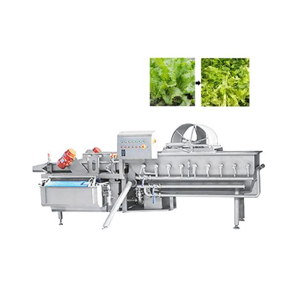 Quality Vortex Lettuce Washing Machine wholesale